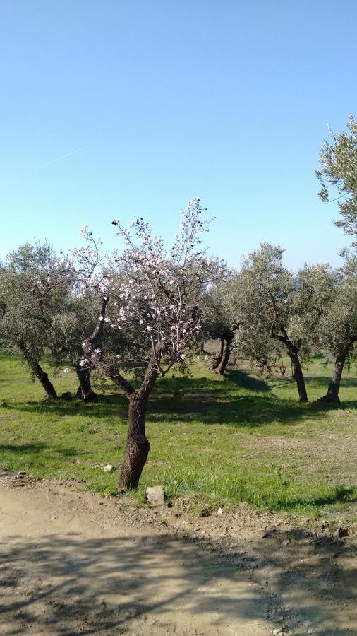 Cal Joanet, Acollidora Caseta A Gratallops Dış mekan fotoğraf
